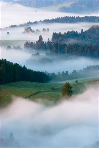 Mlha na Všemilské planině